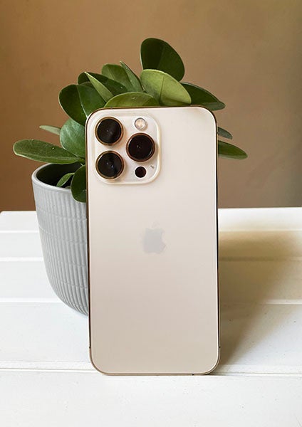 Back of gold iPhone 13 Pro next to pot plant