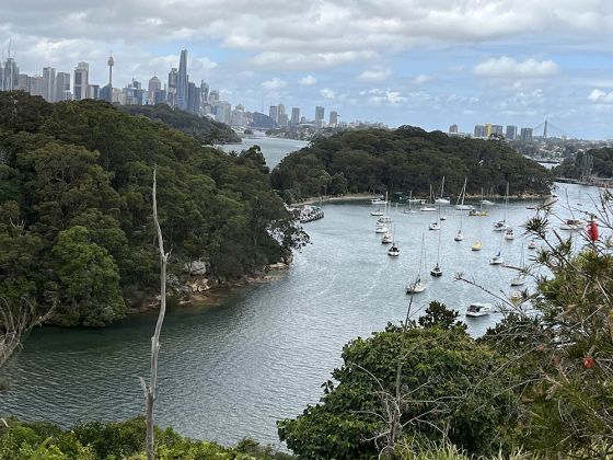 View of bay and bushland in Greenwich Sydney