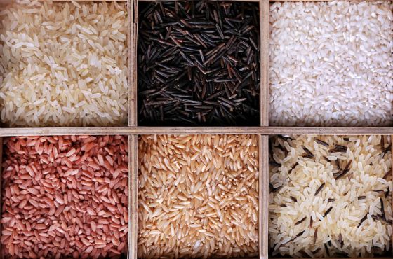 Different rice types