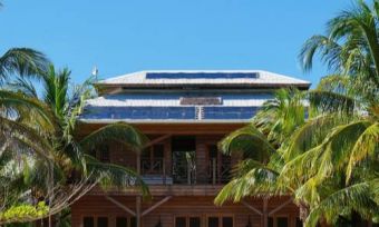 House with rooftop solar, surrounded by palm trees