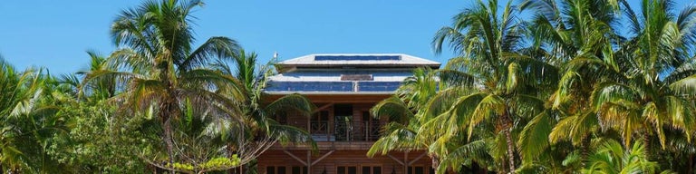 House with rooftop solar, surrounded by palm trees