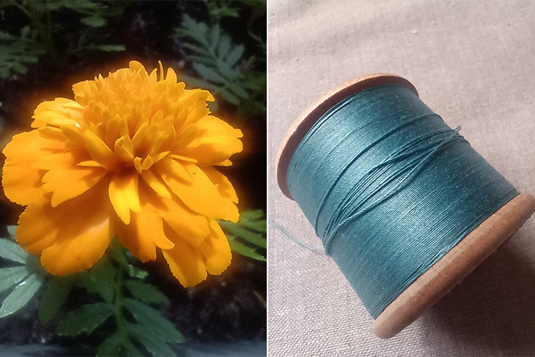 Macro photos of flower and spool of thread side by side