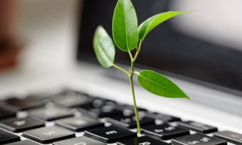A green shoot in a laptop keyboard