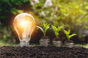 Lightbulb in soil with pile of coins and plants next to it 