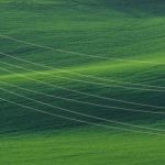 Powerlines in a green field