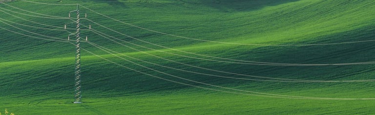 Powerlines in a green field