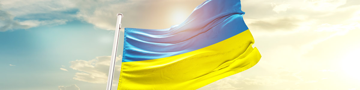 Ukrainian flag against sky