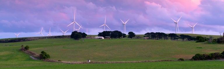 Wind farm in background