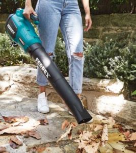 Ferrex leaf blower (ALDI)