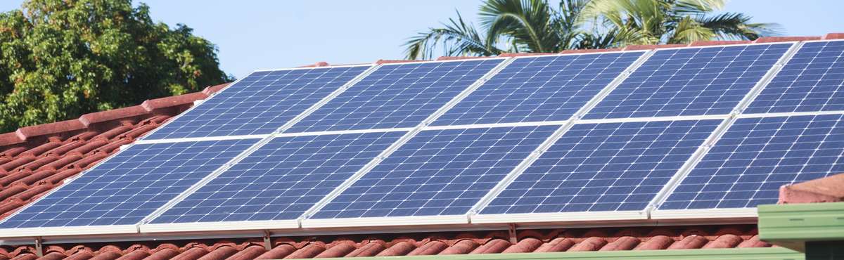 Solar panels on a rooftop with palm trees in the background