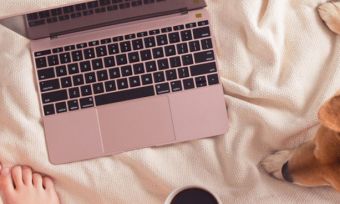 Top view of laptop and shiba inu dog on bed