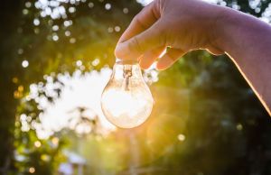 Hand holding light bulb outdoors in nature