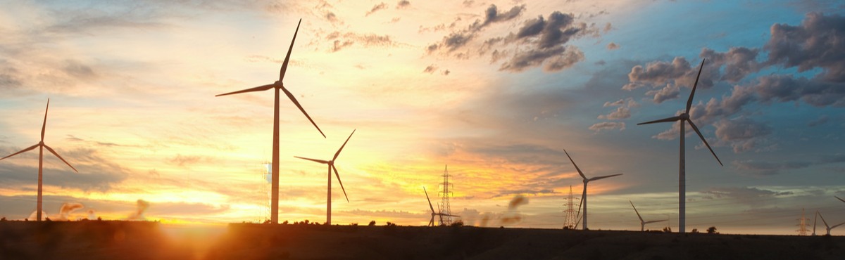 Nectr Green Excellence Award 2022