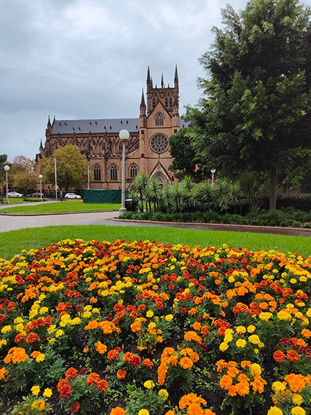 Photo of flowers and cathedral