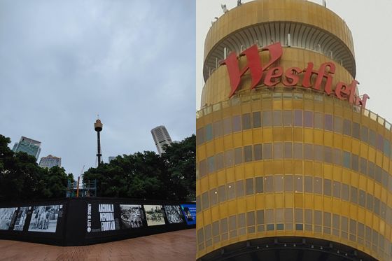 Wide angle and zoom photos of Sydney Tower