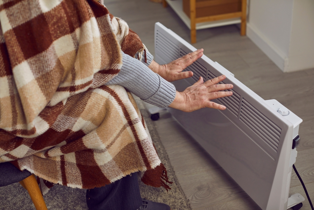 Electric Heaters | Models u0026 Prices – Canstar Blue