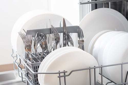 Dishwasher features