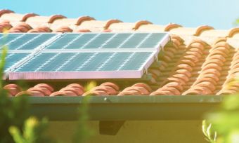 Angled roof with solar panels on it, covered by trees