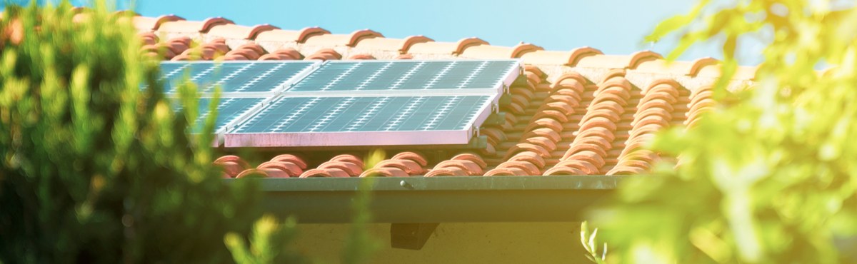 Angled roof with solar panels on it, covered by trees