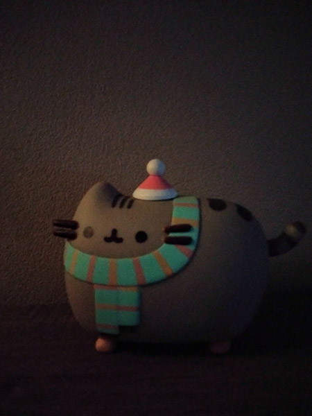 Night mode photo of pusheen figurine