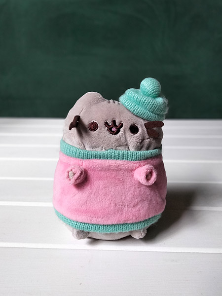 Portrait photo of pusheen plushie