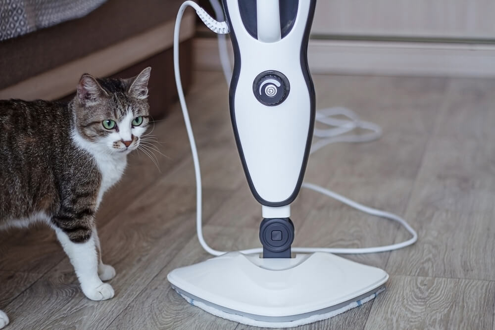 BestRated Steam Mops Brand Reviews & Ratings Canstar Blue