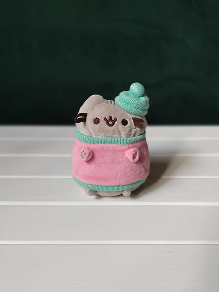 Pusheen plushie portait photo 