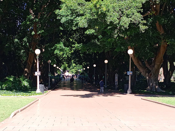 Outdoor photo of Hyde Park Sydney