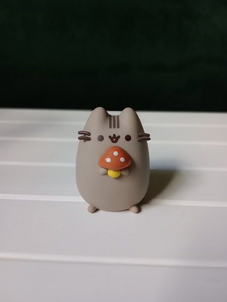 Portrait photo of pusheen figurine