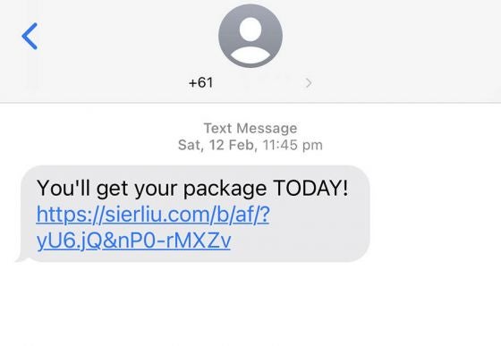 Screenshot of an SMS scam