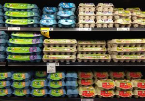 Eggs supermarkets shortage 