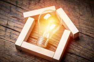 Light bulb in a small wooden house. 