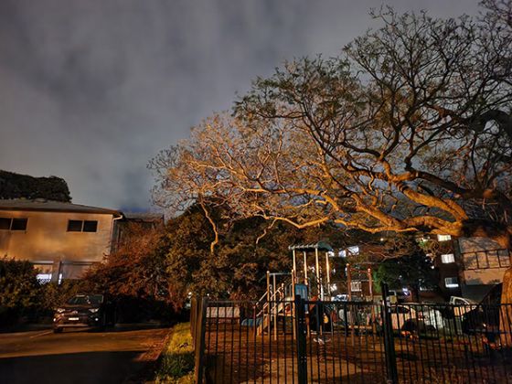 Photo of playground with tree at night 