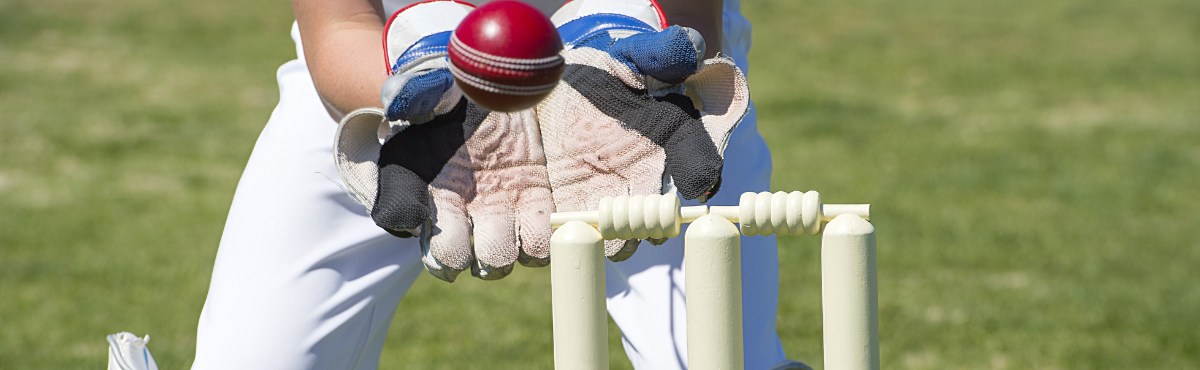 Cricket stumps with ball being caught above it.