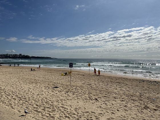 Sunny photo of beach