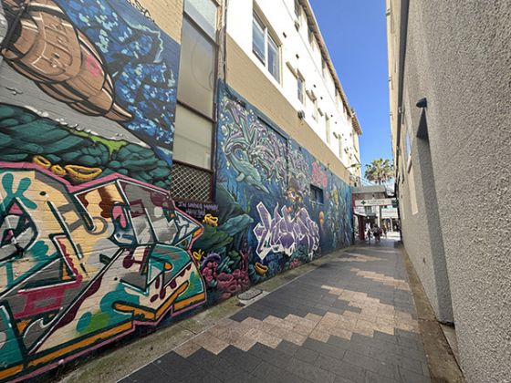 Graffiti walls in laneway