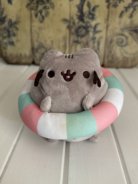 Portrait photo of Pusheen plushie