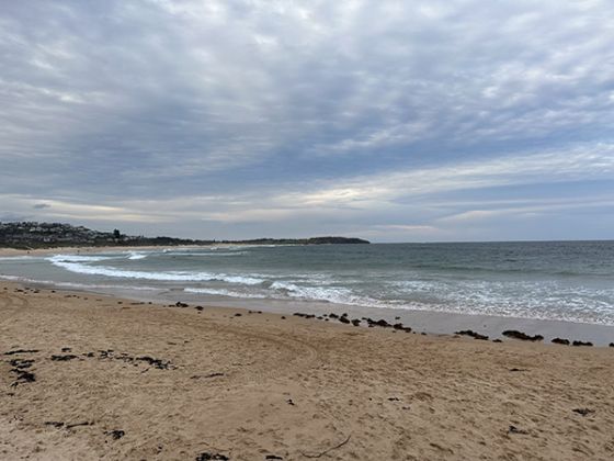 Cloudy photo of the beach