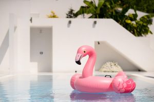 pool with floating flamingo