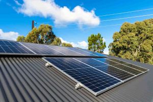 Solar panels on a rooftop with trees around.