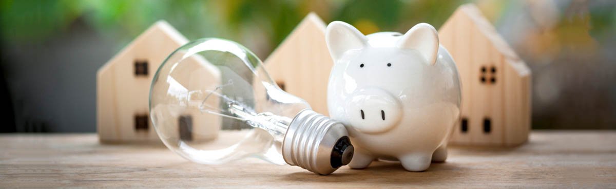 Lightbulb with piggy bank