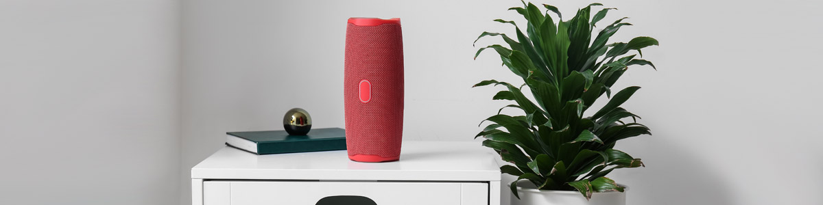 Portable speaker in home