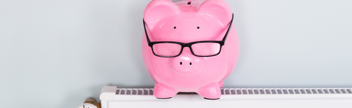 Piggy bank on heater with glasses on.