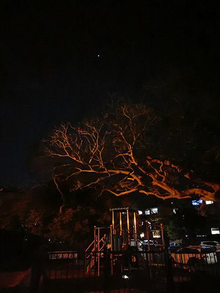 Photo of playground at night