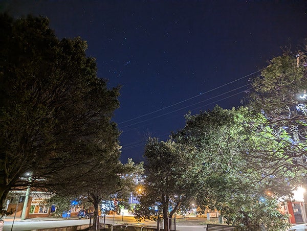 Night photo of trees and night sky