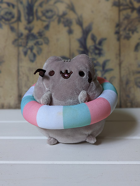 Portrait photo of Pusheen plushie