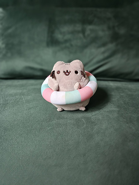 Portrait photo of Pusheen plushie