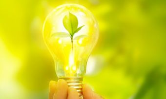 Lightbulb with small green plant inside. Yellow light shines on lightbulb.