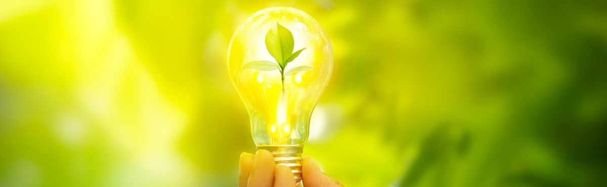 Lightbulb with small green plant inside. Yellow light shines on lightbulb.
