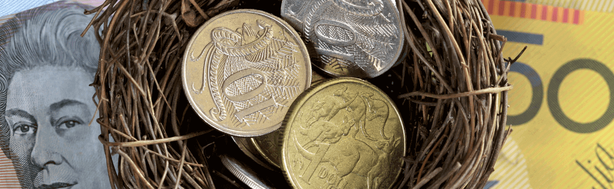 Bird nest with Australian money sitting in it.